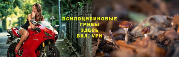 амф Гусиноозёрск