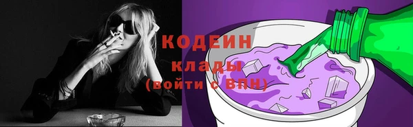 амф Гусиноозёрск