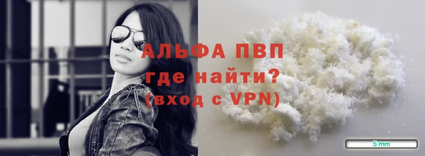 амф Гусиноозёрск