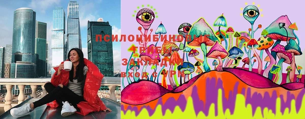 ГАЛЛЮЦИНОГЕННЫЕ ГРИБЫ Алагир
