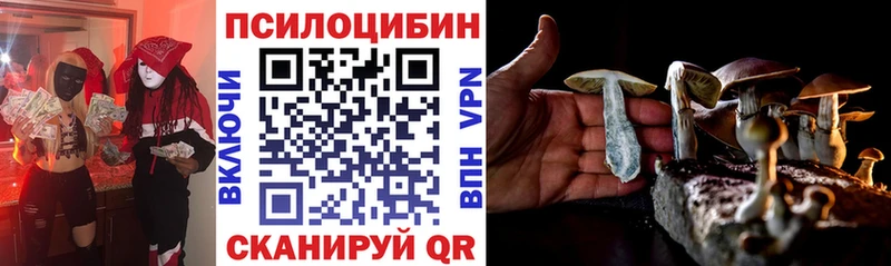 kraken ССЫЛКА  Елабуга  Галлюциногенные грибы Psilocybine cubensis 